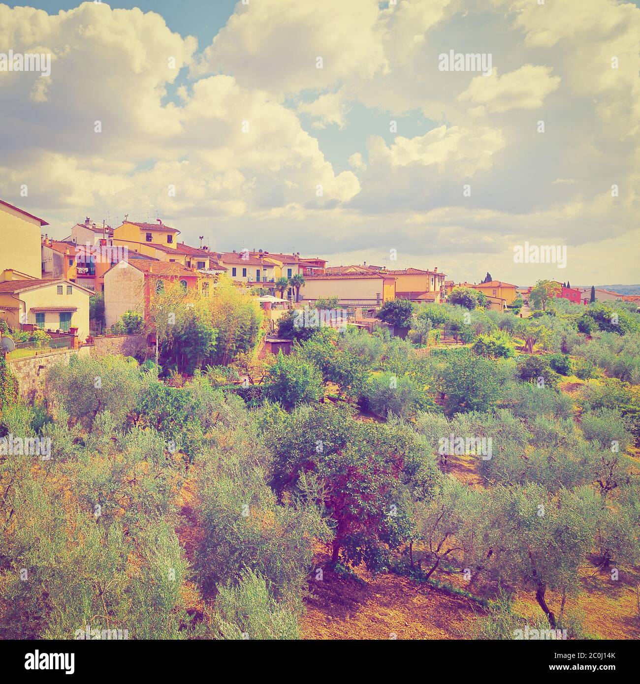 Olive grove square hi-res stock photography and images - Alamy
