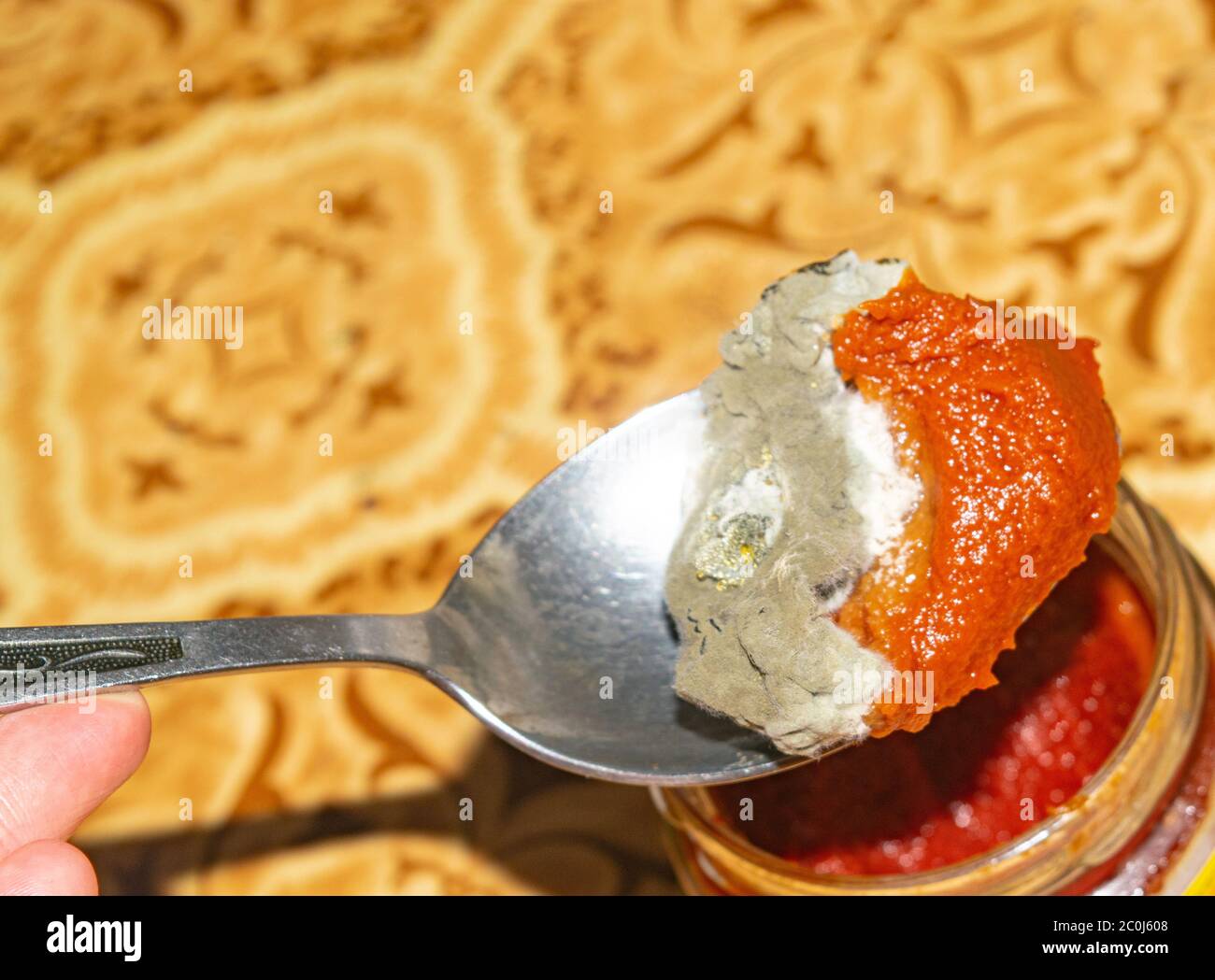 Mold growing on the tomato paste. Close up Stock Photo