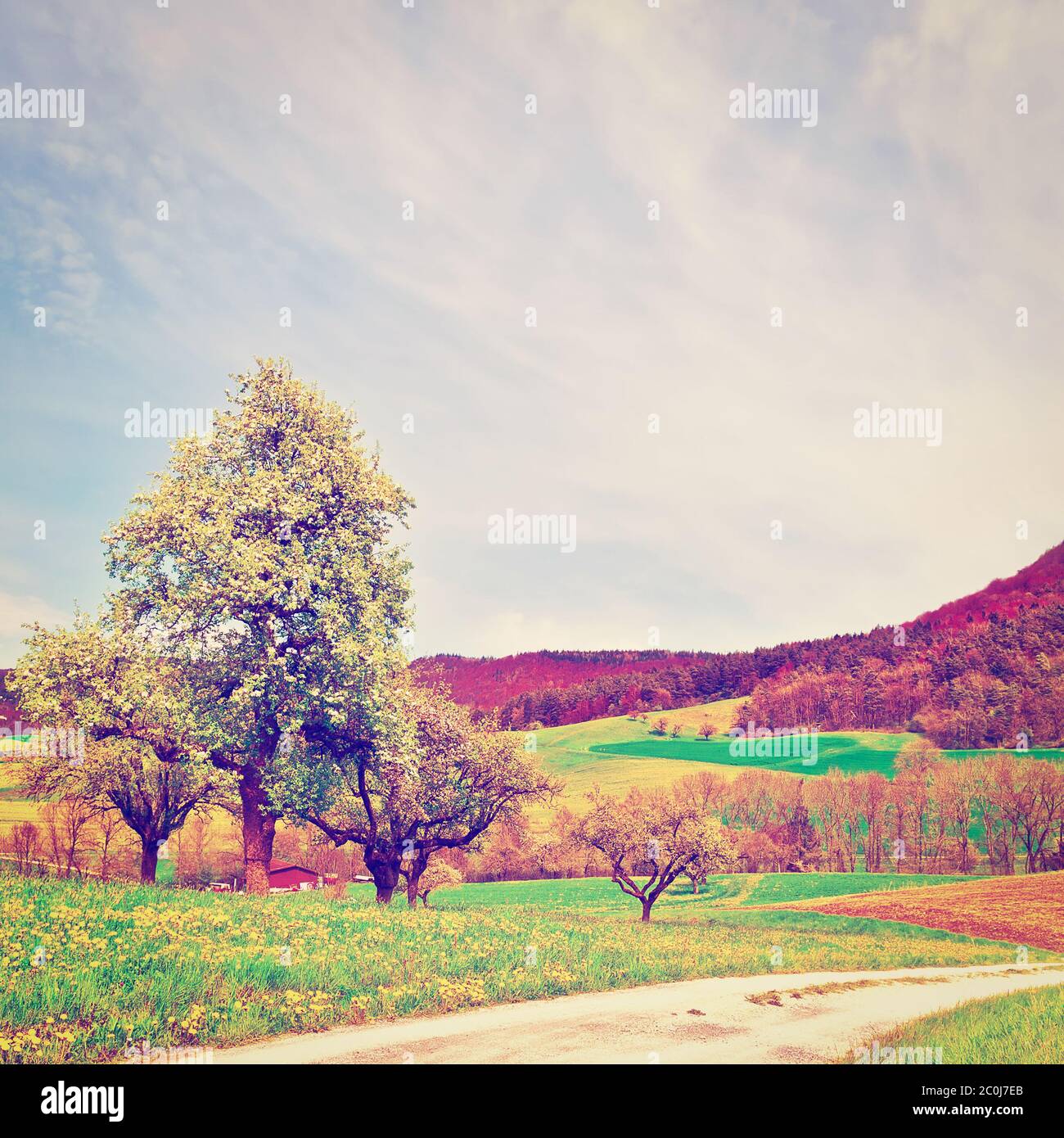 Vintage dirt road blue sky hi-res stock photography and images - Alamy