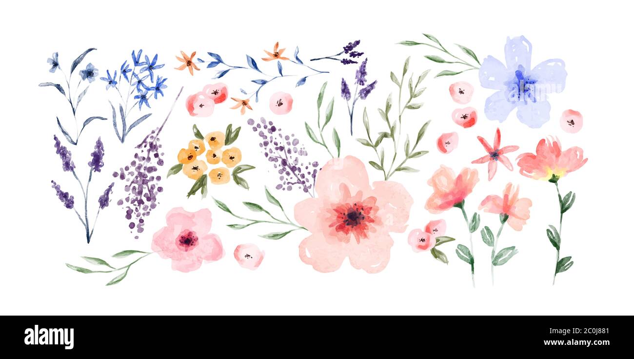 Hand drawn watercolor flower set on isolated white background. Vintage style spring floral decoration. Stock Vector