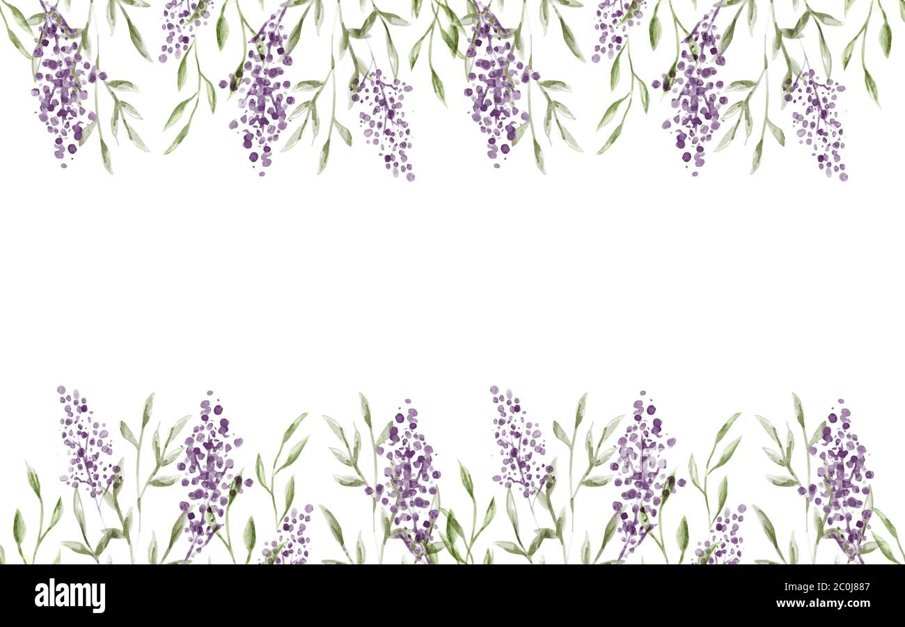Watercolor lavender flower illustration on isolated white background.  Vintage style floral backdrop for wedding event, invitation template or  nature d Stock Vector Image & Art - Alamy