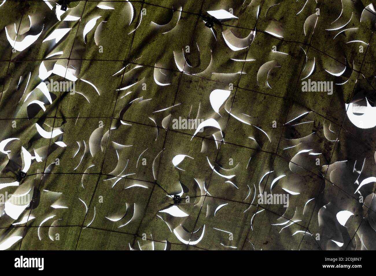 Real Military texture camouflage background. Stock Photo