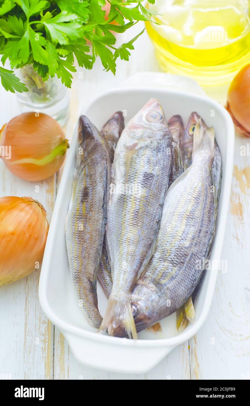 Gill cover fish hi-res stock photography and images - Alamy