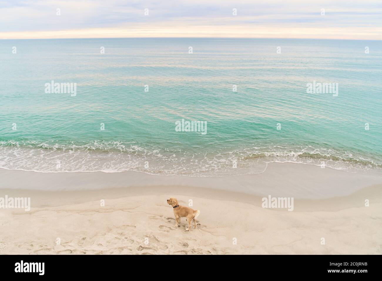 Baltic Sea. Beach in the village of Amber. Beach in Russia with a blue flag. Stock Photo