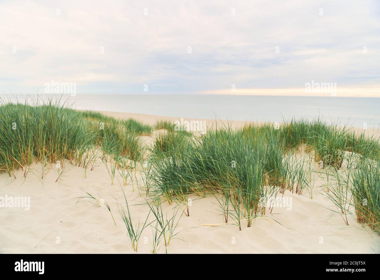 Baltic Sea. Beach in the village of Amber. Beach in Russia with a blue flag. Stock Photo