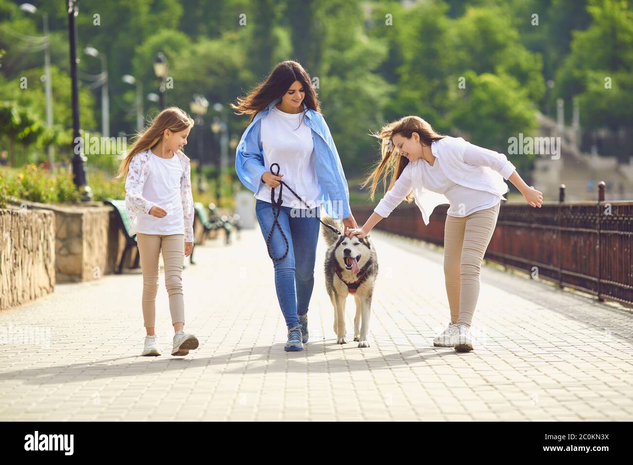 Teen girl walking dog hi-res stock photography and images - Alamy
