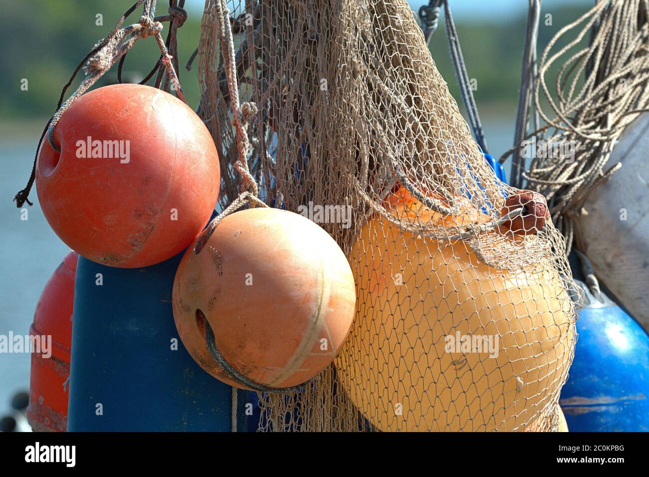 May 19, 2020, Schleswig, the buoys of the fishermen from the Schleswig Holm hang from the residents on the banks of the Schlei. | usage worldwide Stock Photo