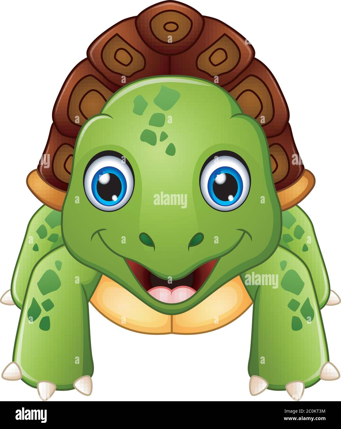 Funny cartoon turtle Stock Vector Image & Art - Alamy