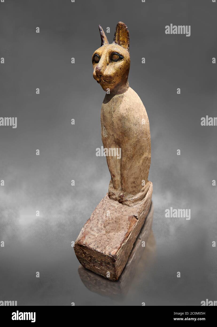 Ancient Egyptian Cat Sarcophagus