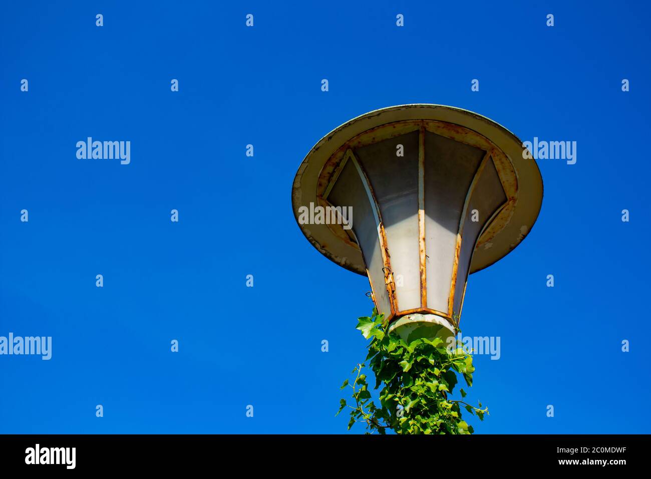 Old vintage street light with green ivy and blue sky Stock Photo Alamy