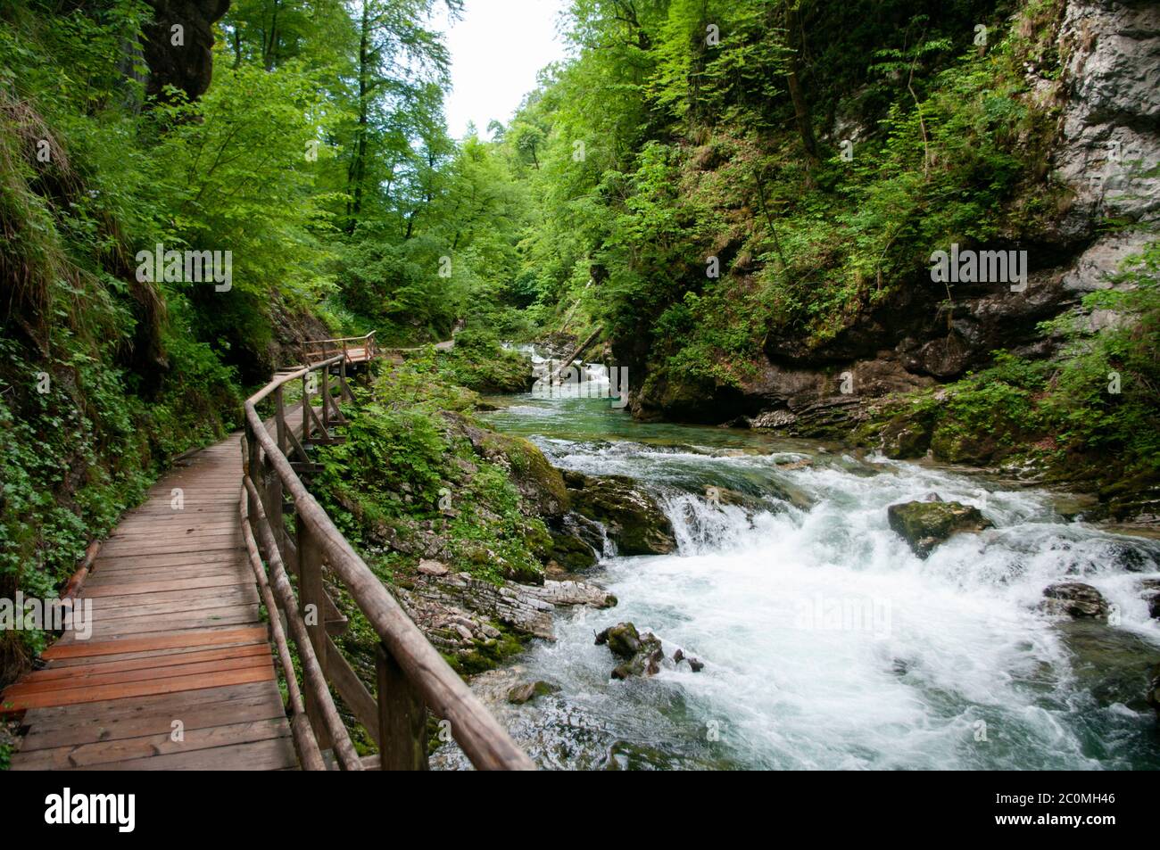 Beautiful view of mountain river, sun light through the trees, traveling in Slovenia, Holidays in Europe. Selective focus. Stock Photo