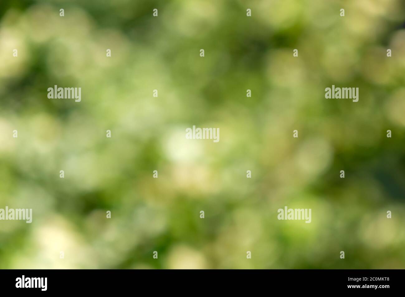 Abstract green color background motion hi-res stock photography and ...