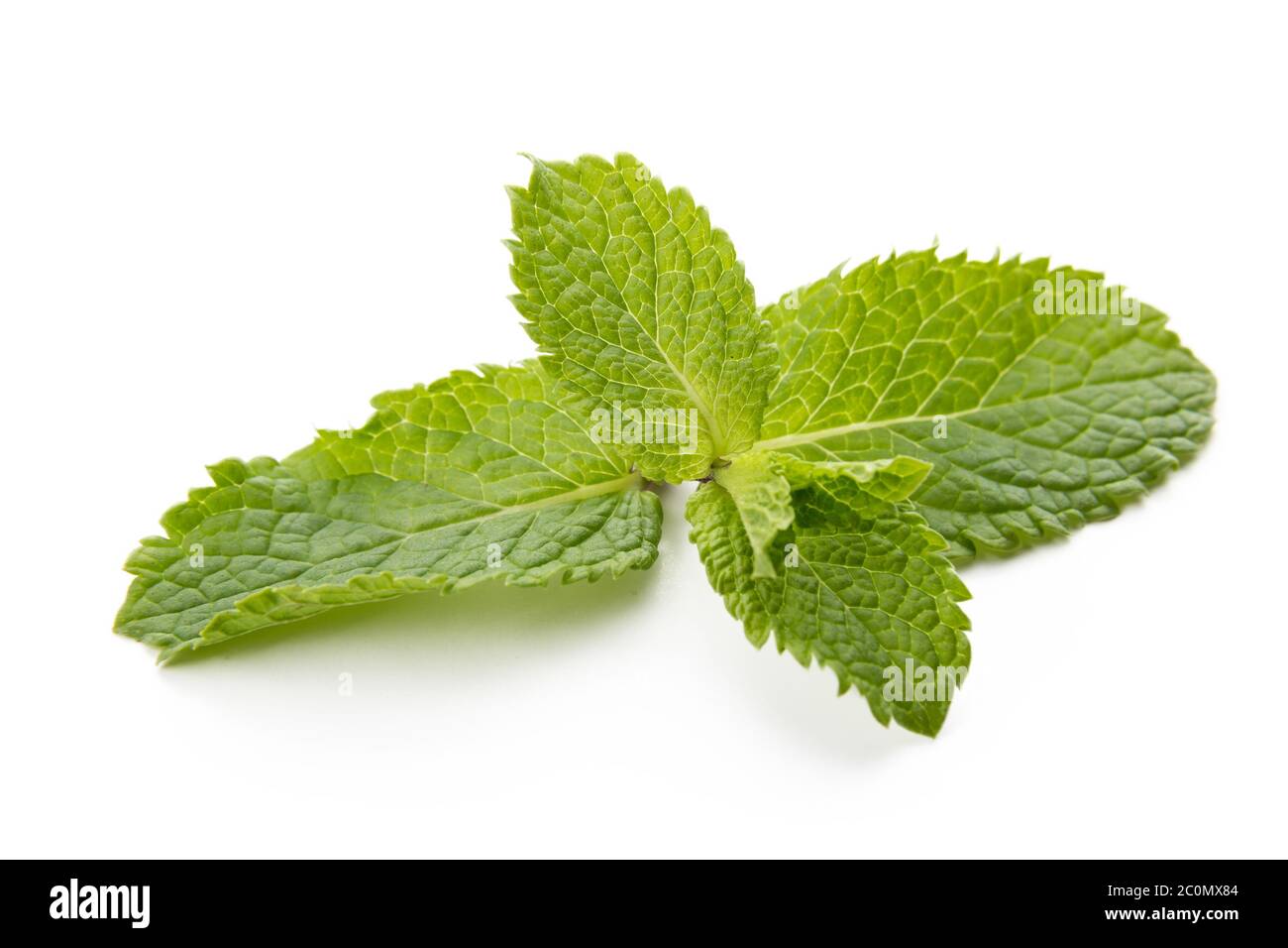Fresh raw mint leaves isolated on white background Stock Photo