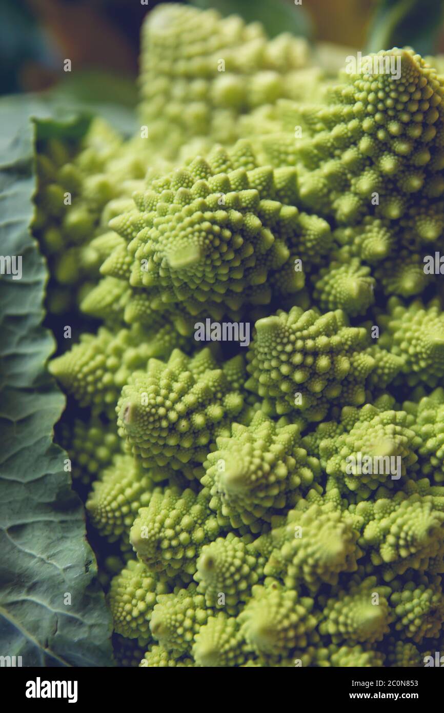 Detail of romanesco broccoli logarithmic spirals Stock Photo Alamy