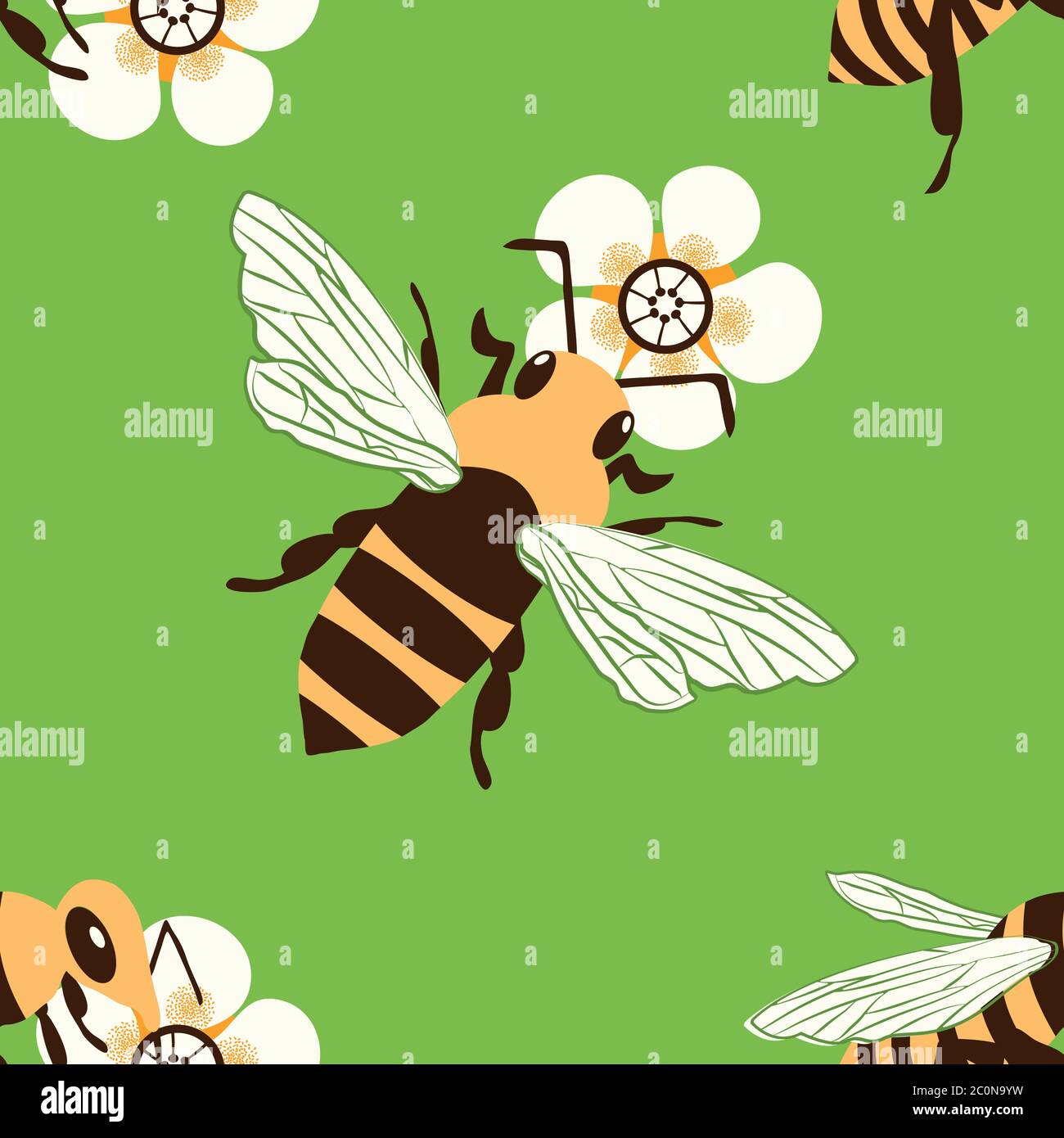 Vector honey bee and manuka flower seamless pattern background. Hand drawn  striped insect and floral green backdrop. Garden bug illustration. All over  Stock Vector Image & Art - Alamy