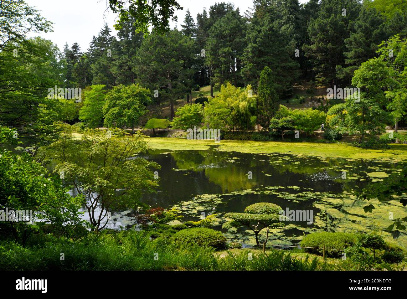 Japanese gardens Maulevrier France. Stock Photo