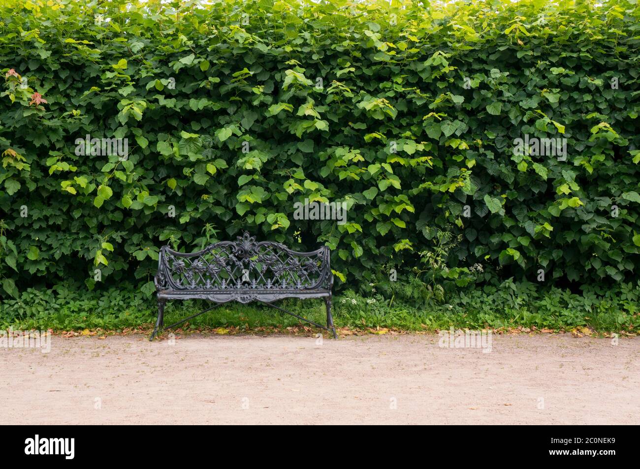 Lonely brown wooden bench hi-res stock photography and images - Alamy