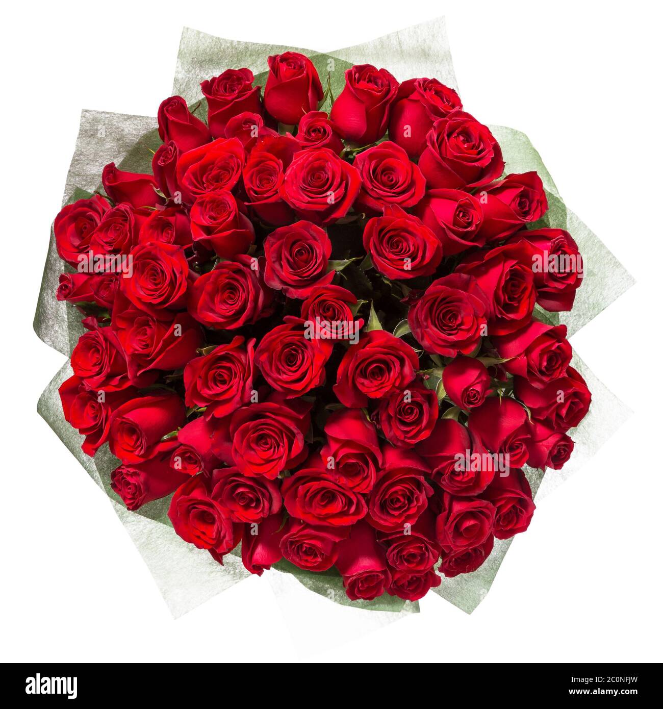 red roses isolated on white background Stock Photo