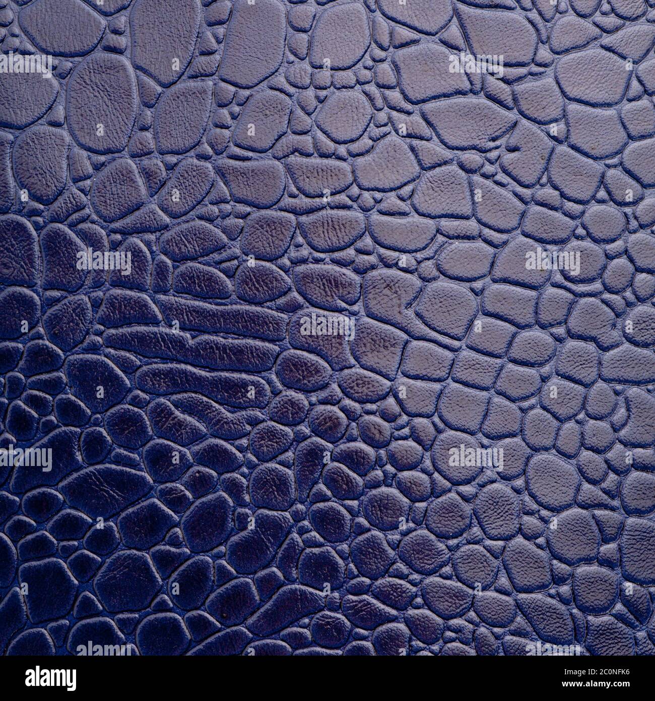 Crocodile leather Stock Photo