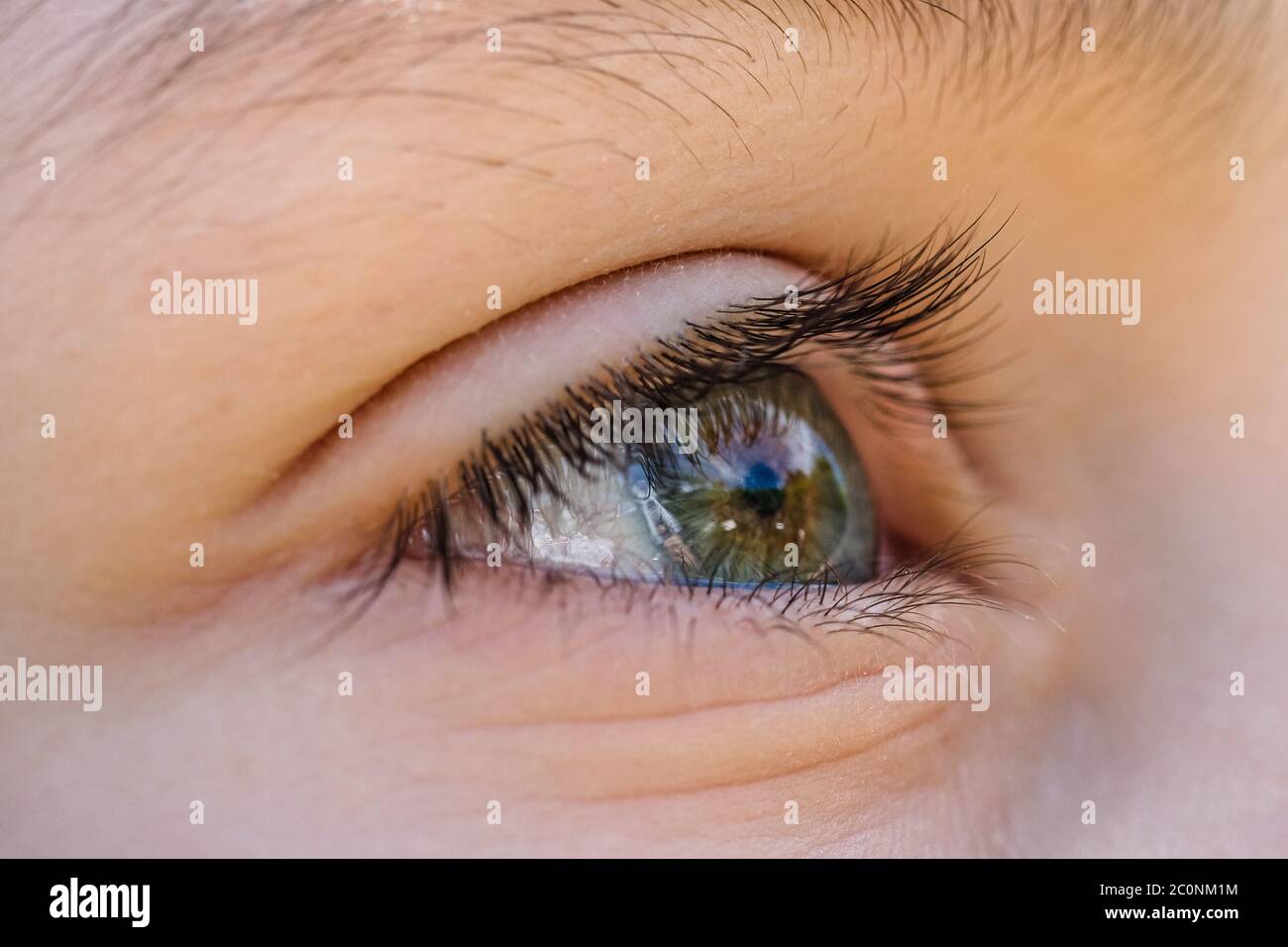 Close up view of kid eye vision lashes detail,macro face skin portrait,hope concept Stock Photo