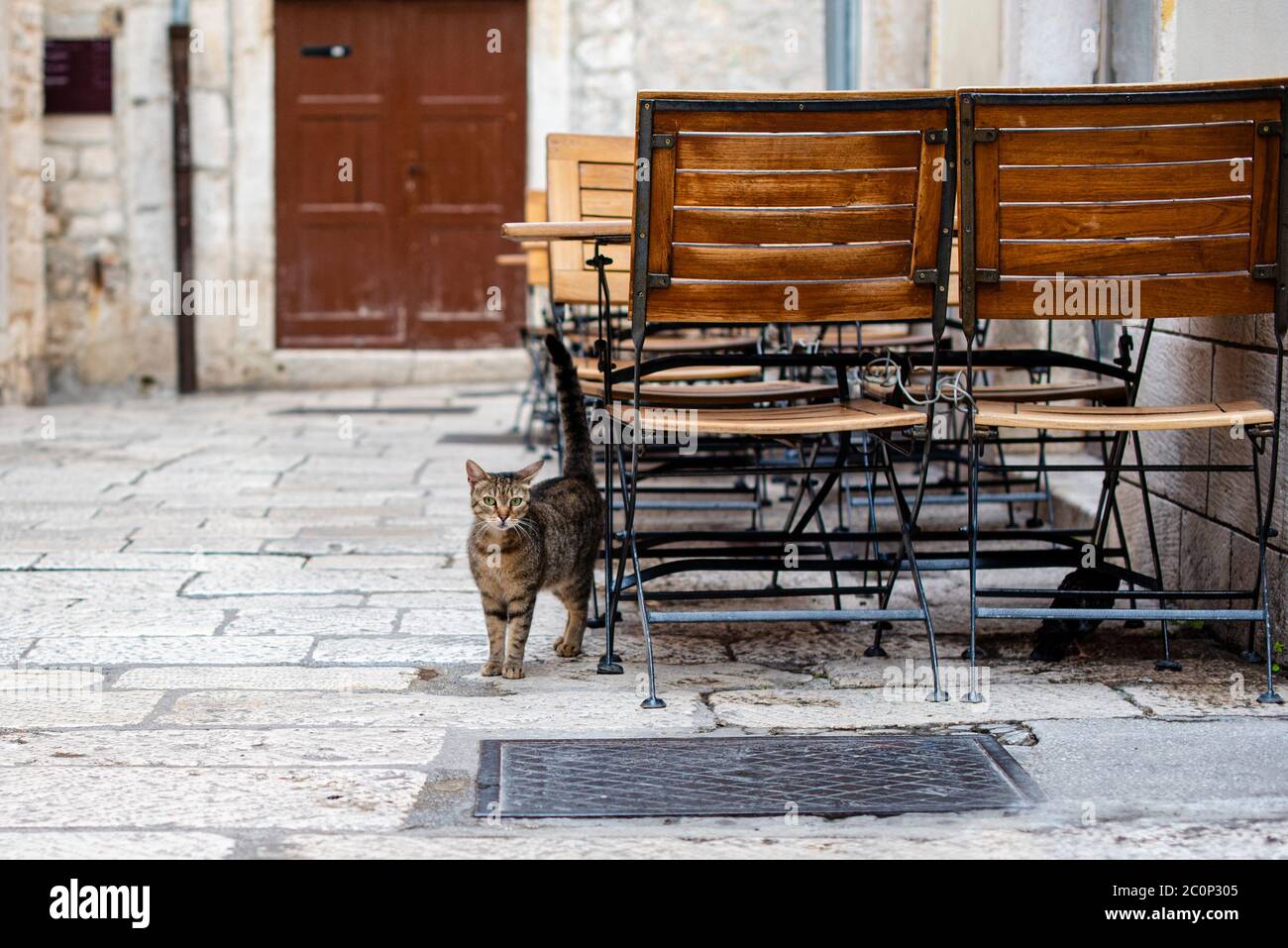 Empty table and chairs with cat at cafe in Split Croatia Stock Photo