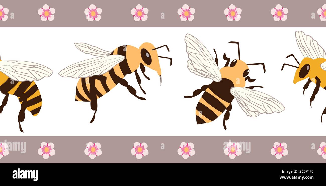 Vector honey bee and manuka flower seamless border . Banner of flying  insects with striped floral edging. Horizontal geometric garden bug design  Stock Vector Image & Art - Alamy
