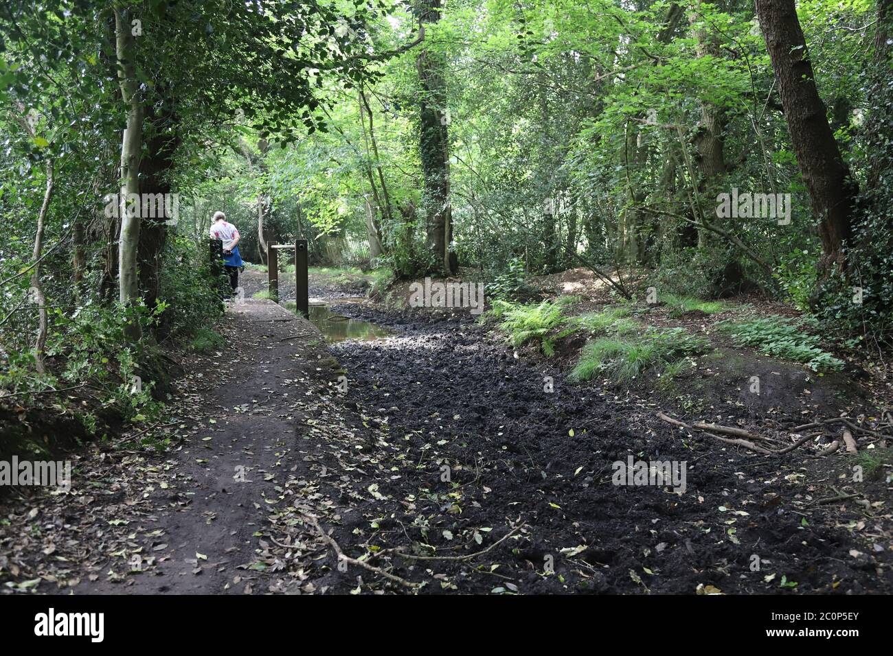 muddy track in summer created by horse riders Stock Photo - Alamy