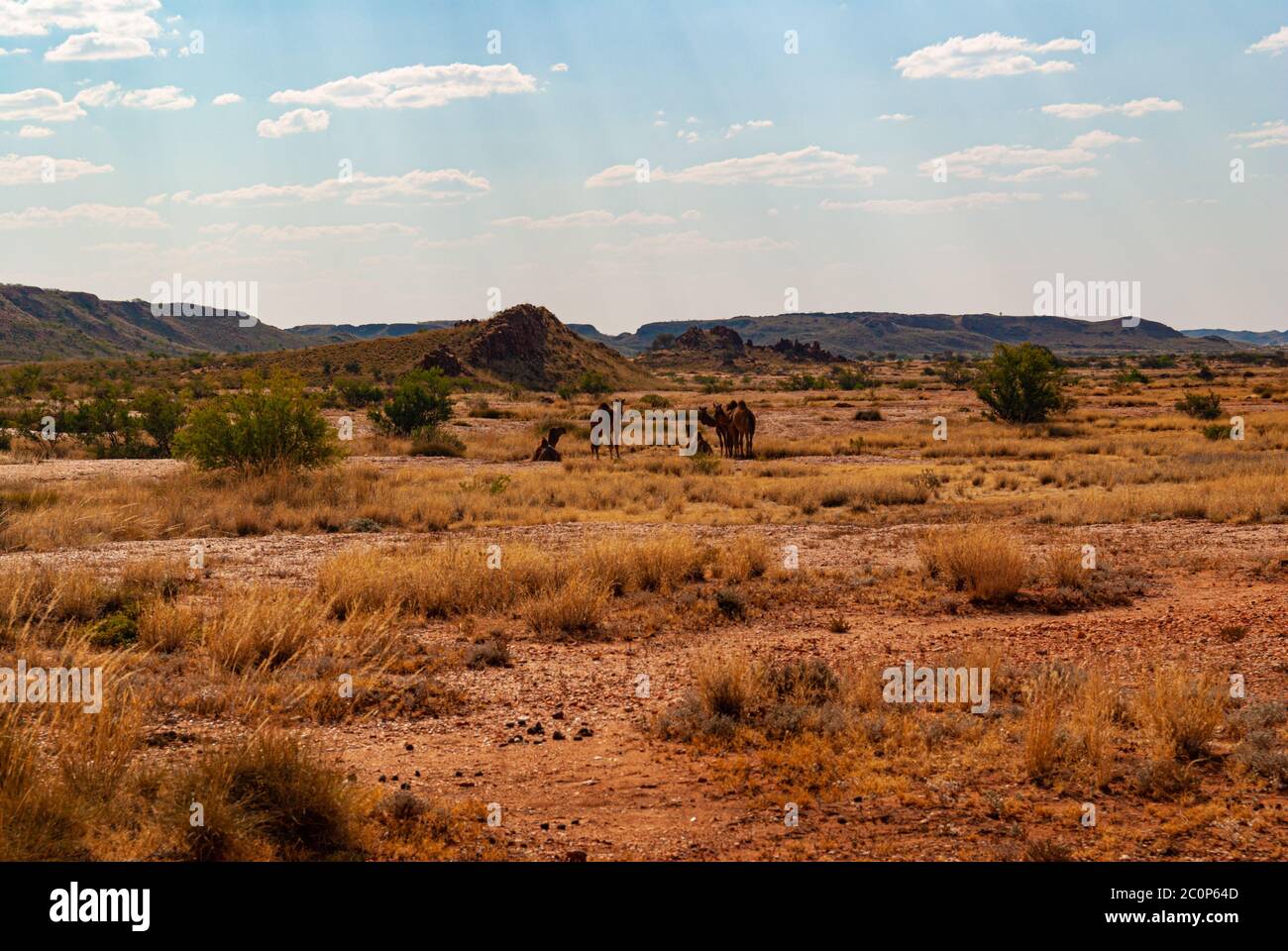 Of Rudall Rivers KARLAMILYI NATIONAL PARK, PREVIOUSLY RUDALL RIVER NATIONAL PARK ...
