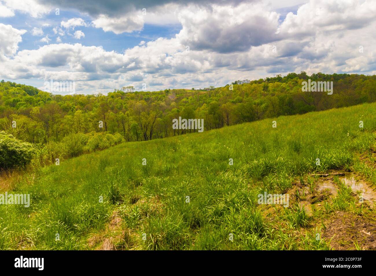 Green Field and Cloudy Blue Sky Stock Photo - Alamy