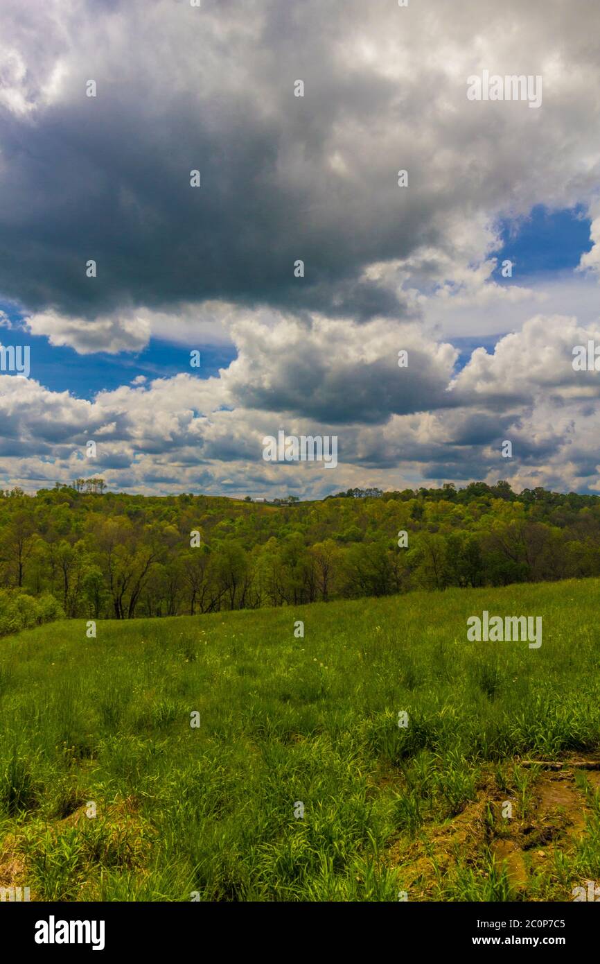 Green Field and Cloudy Blue Sky Stock Photo - Alamy