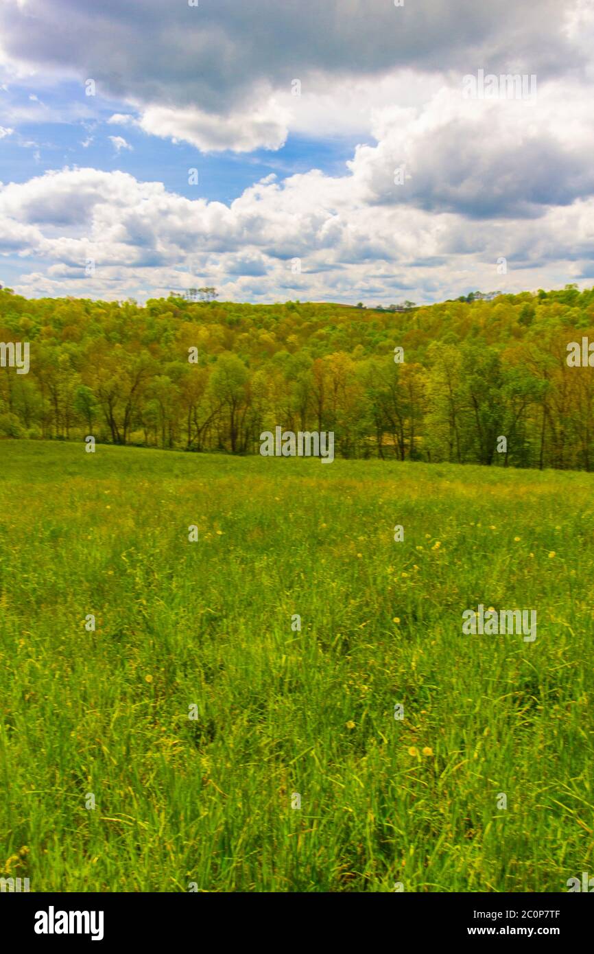 Green Field and Cloudy Blue Sky Stock Photo - Alamy