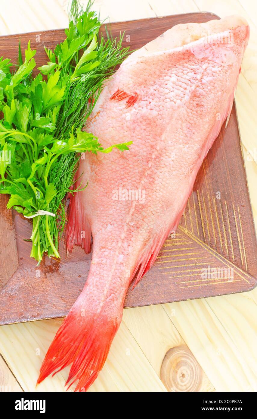 Widow rockfish hires stock photography and images Alamy