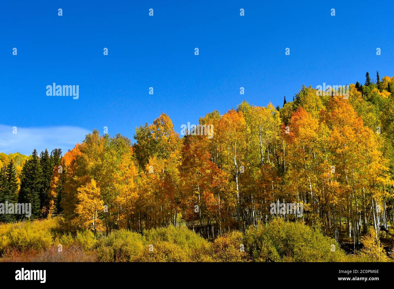 Fall colors on the San Juan Skyway, Colorado. Stock Photo