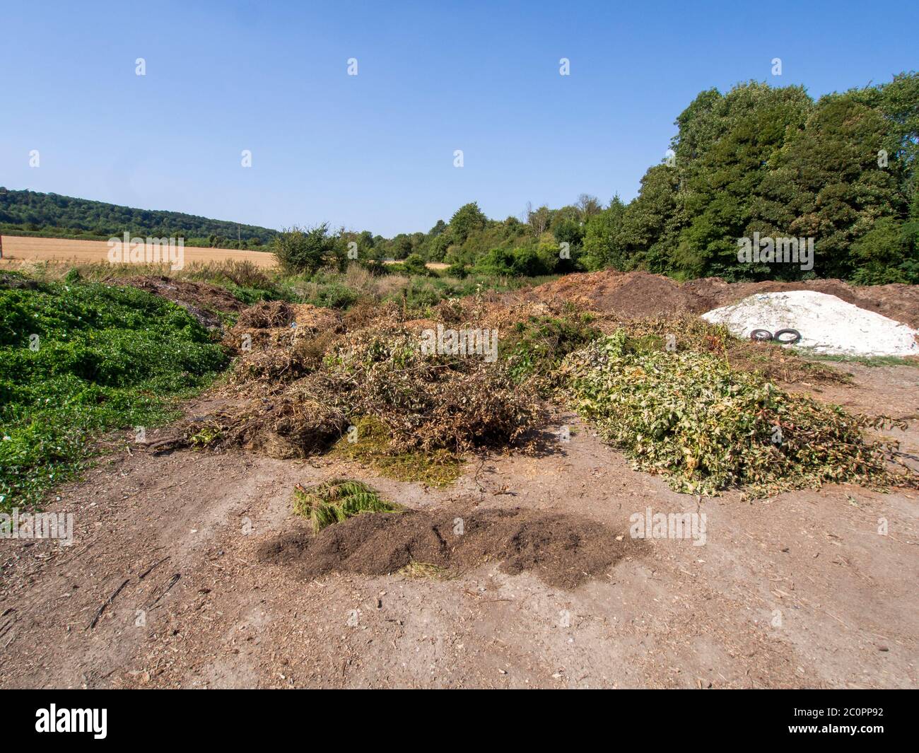 Large amount of flytipping green waste dumped in the countryside. Stock Photo