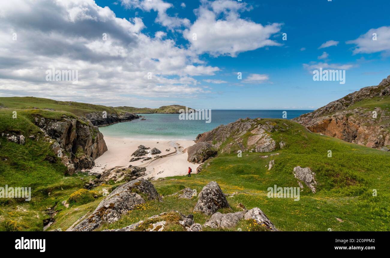 ACHMELVICH BAY AND BEACH SUTHERLAND HIGHLANDS SCOTLAND BLUE  SKY WITH CLOUDS THE MANY COLOURS OF THE SEA AND YELLOW FLOWERS OF BIRDS FOOT TREFOIL Lotu Stock Photo