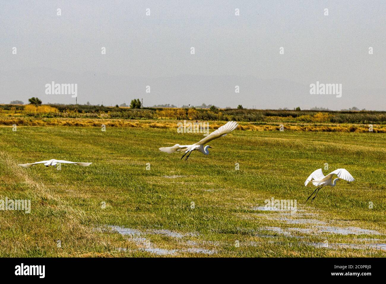 Refuge for insects hi-res stock photography and images - Alamy