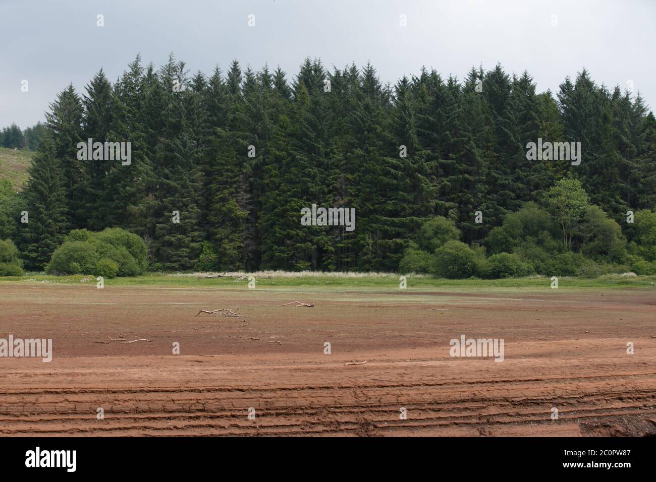 Llwyn On reservoir, Merthyr Tydfil, South Wales, UK. 12 June 2020. UK