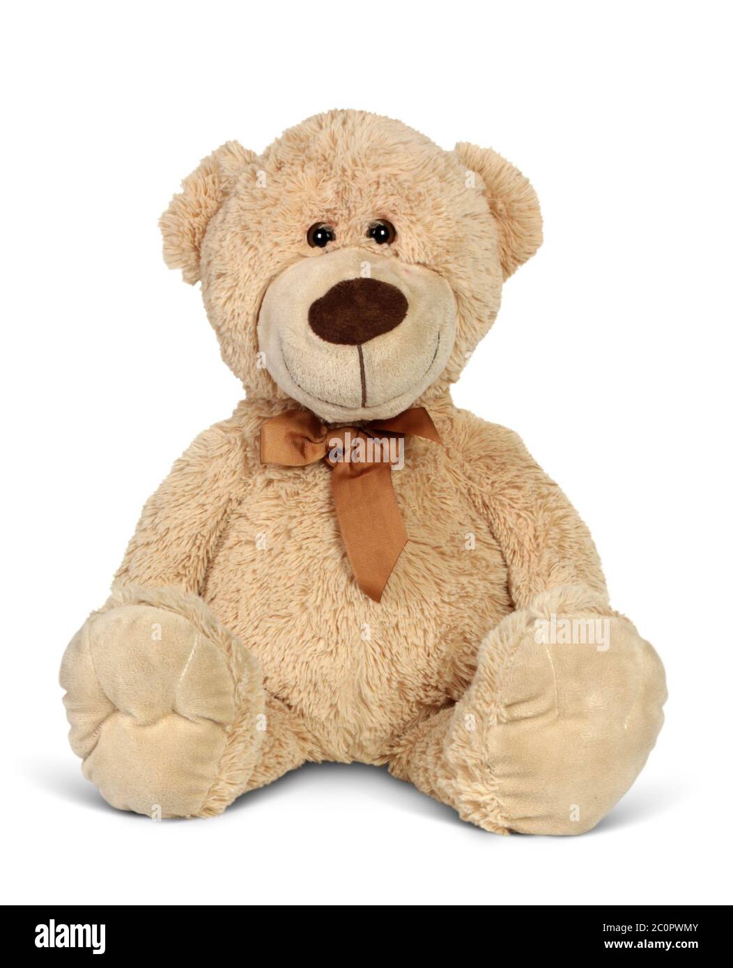 Plush toy bear isolated on white background. Stock Photo