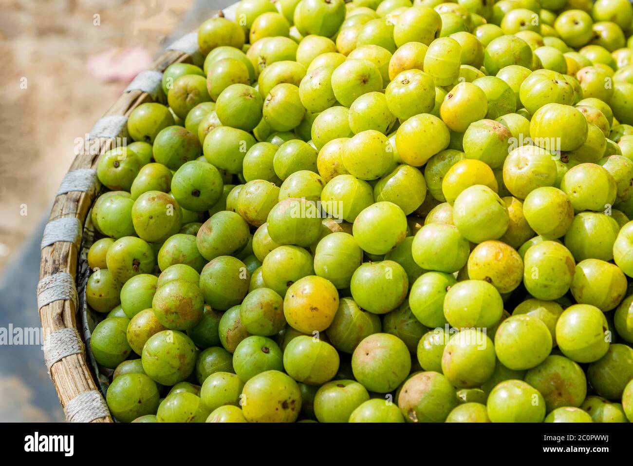 Fresh Gooseberry or Amala kept for sale in the street market Stock Photo Alamy