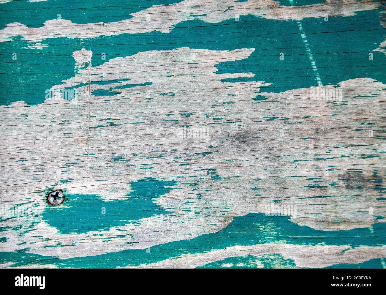 close up of turquoise peeling paint on wood with screw head Stock Photo ...