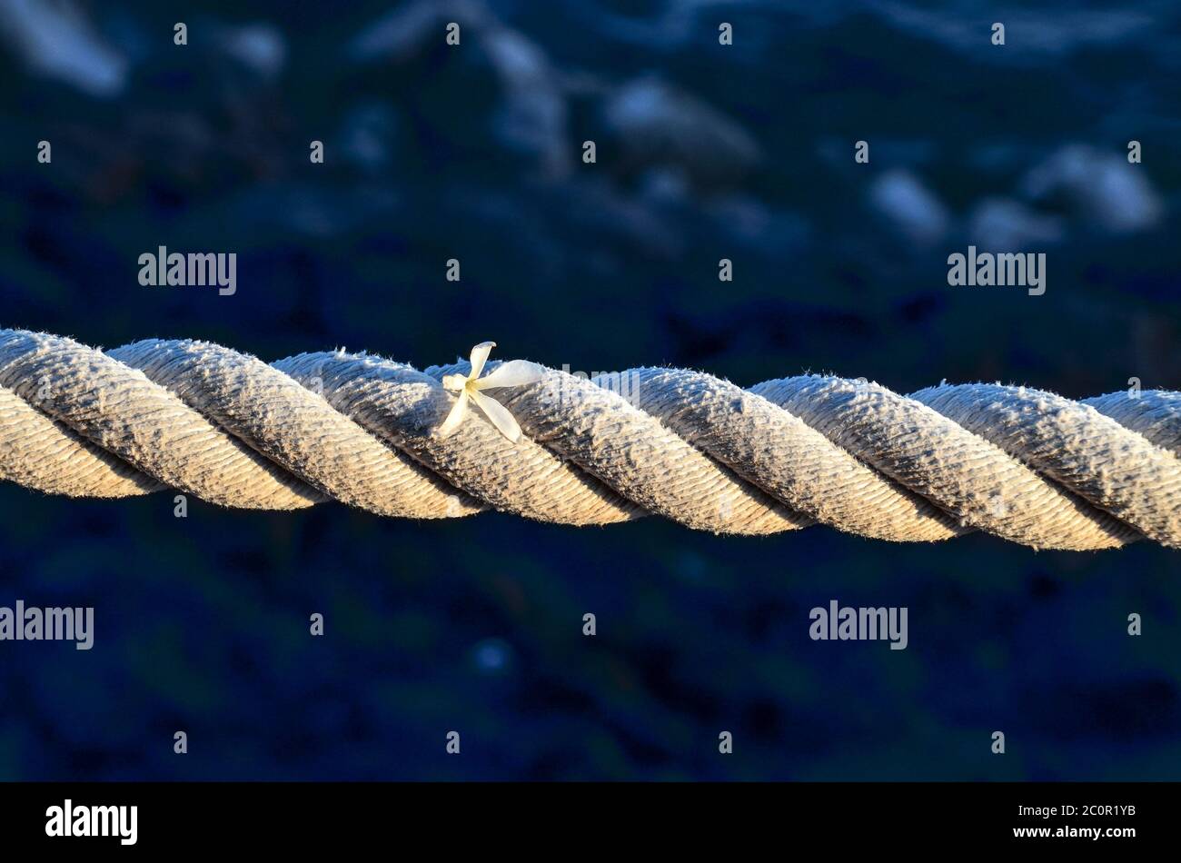 Old Vintage Naval Rope Stock Photo - Alamy