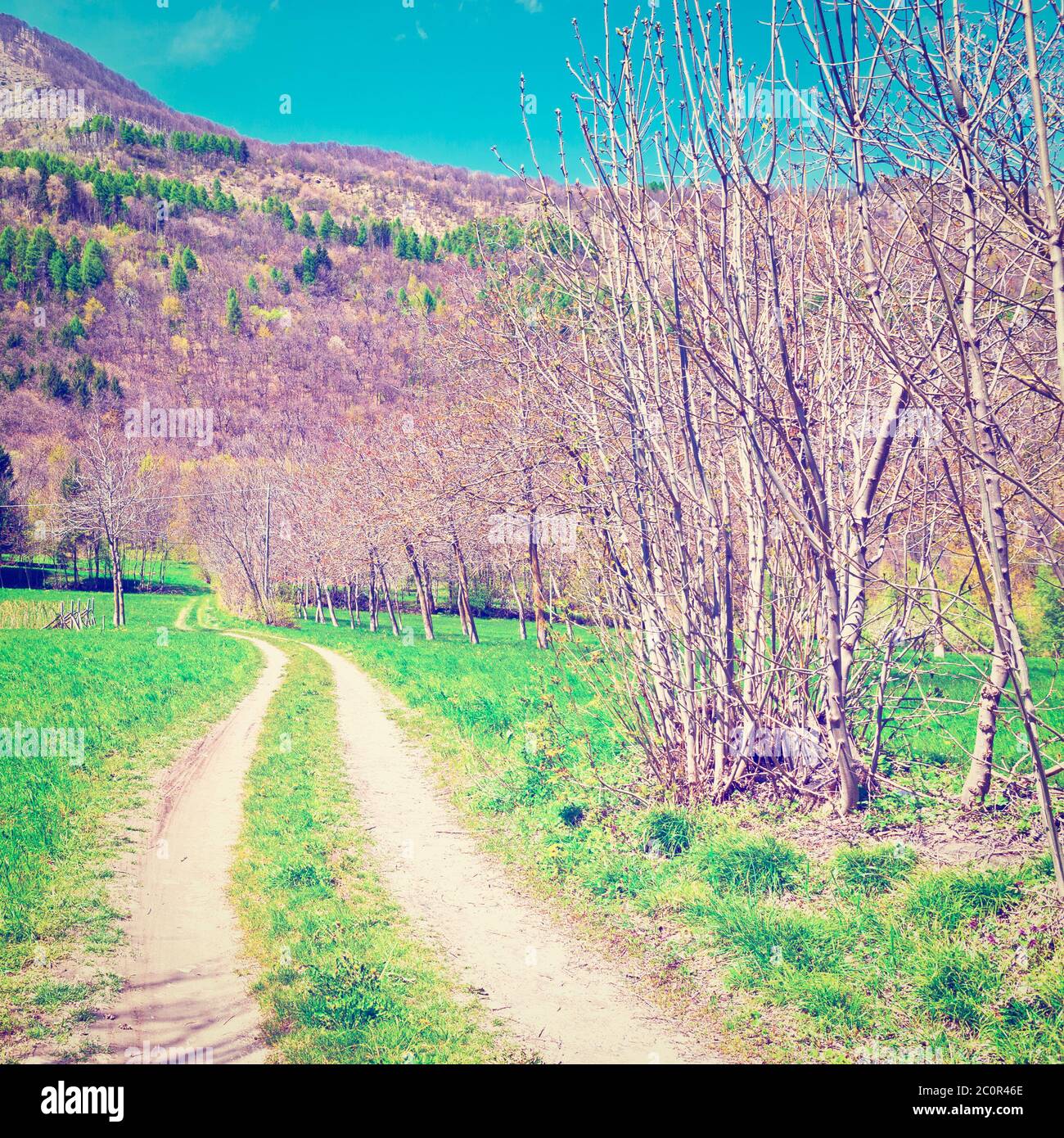 Vintage dirt road blue sky hi-res stock photography and images - Alamy