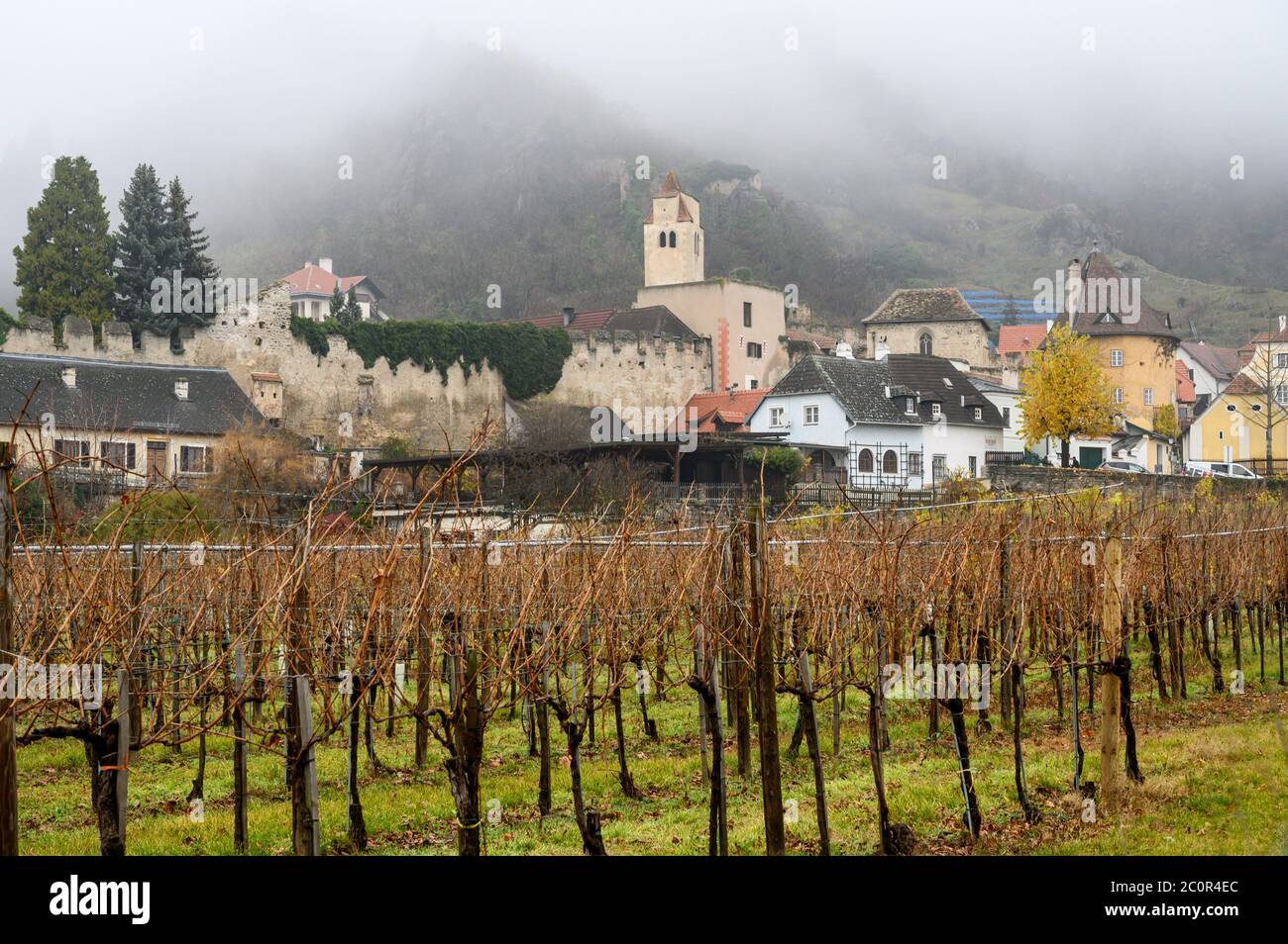 A Wachau Valley vineyard with the UNESCO World Heritage town of Dürnstein, Austria in the background Stock Photo