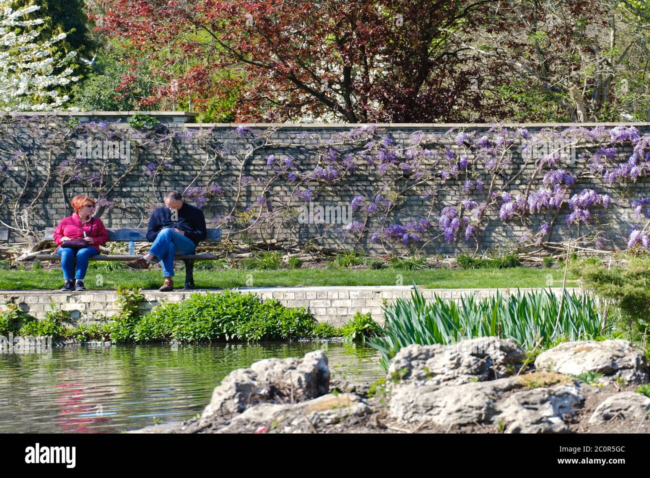 Two people sit on a bench next to the pond, in front of a wall covered