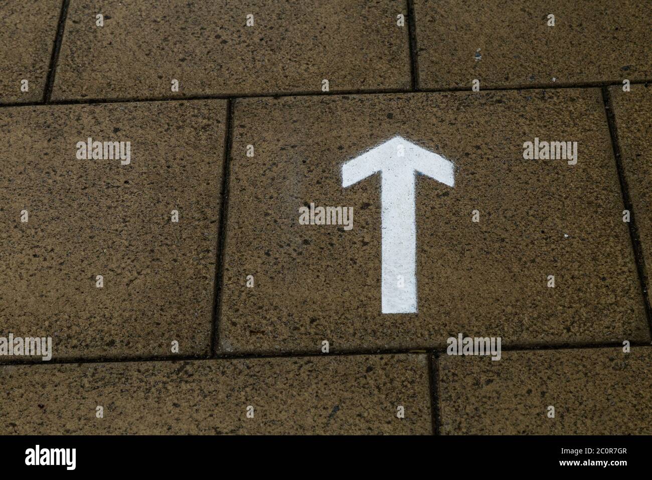 A painted white arrow on a pavement showing a one way system for pedestrians. Stock Photo