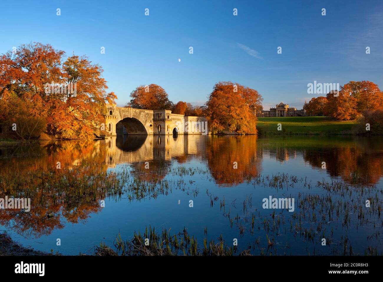 Blenheim Palace, Woodstock, Oxfordshire, England, United Kingdom, Europe Stock Photo
