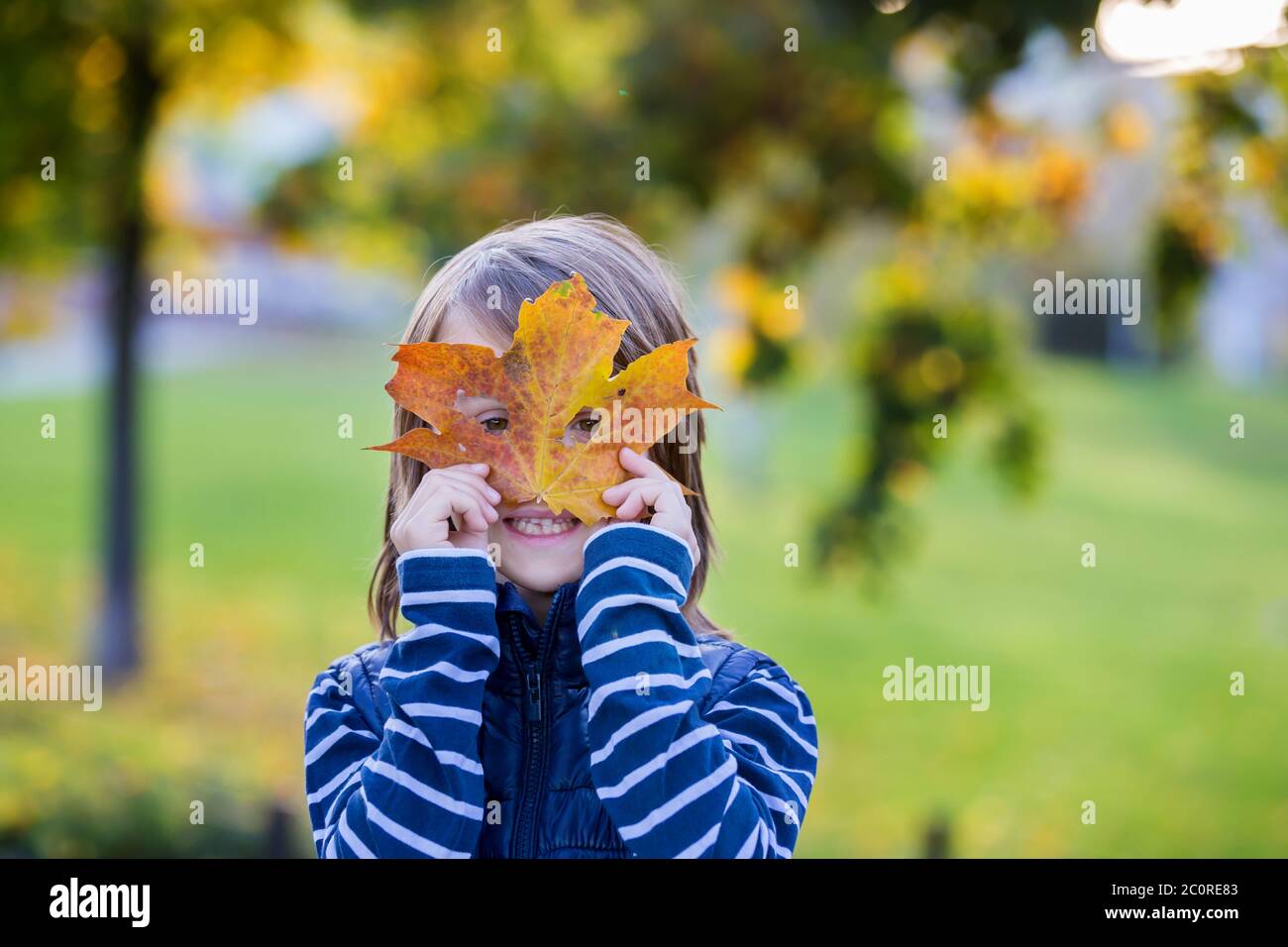 Beautiful preschool boy, holding big leaf in front of his face, looking ...