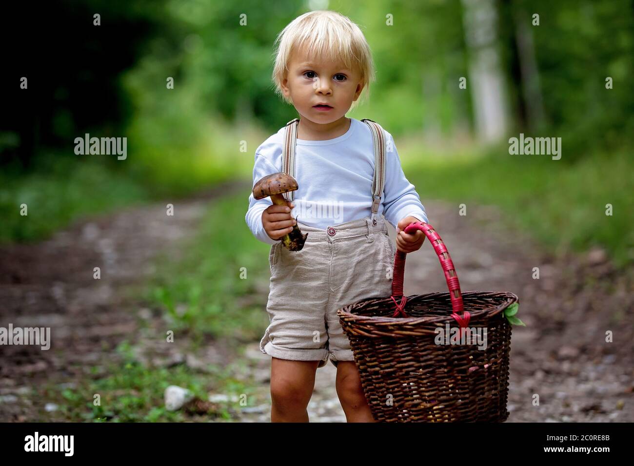 Adorable child, little boy picking mushroom in basket, running happily in forest Stock Photo