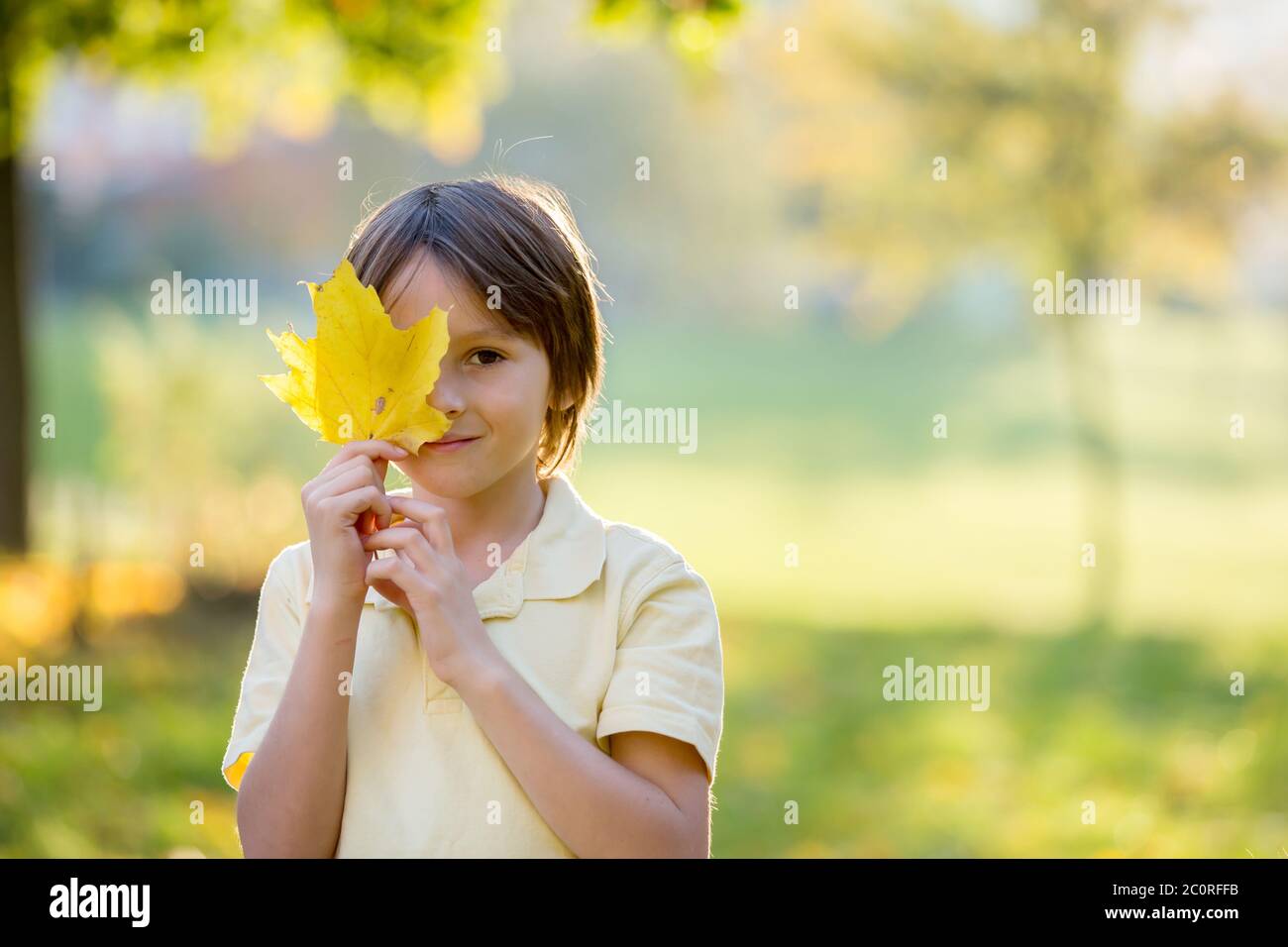 Beautiful preschool boy, holding big leaf in front of his face, looking ...
