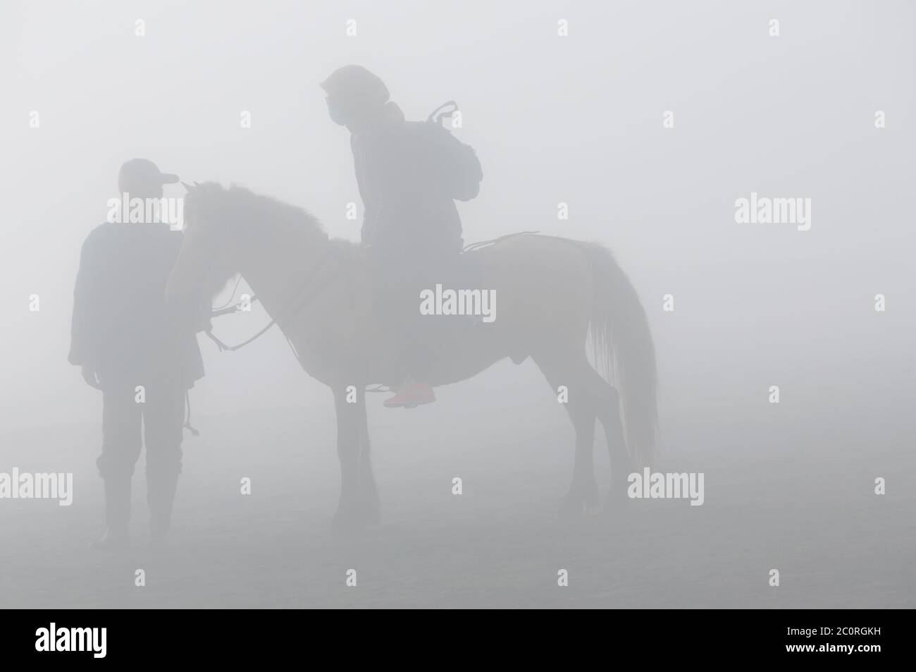 Silhoutte of the Horseback Ride Stock Photo